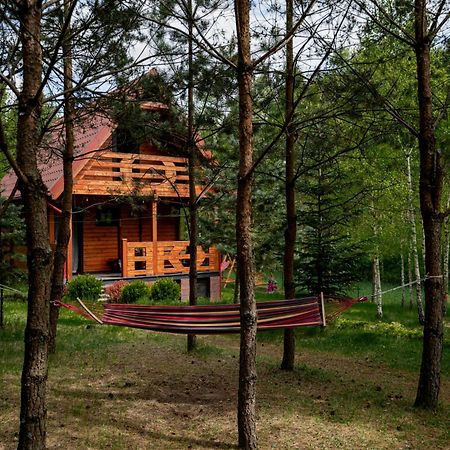 Borowa Chatka Borowy Mlyn Exterior foto